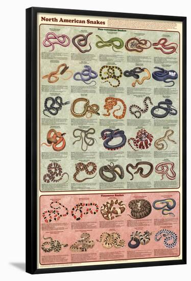 North American Snakes Educational Science Chart Poster-null-Framed Poster