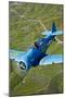 North American T-6 Texan in Flight over Chino, California-null-Mounted Photographic Print