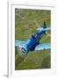 North American T-6 Texan in Flight over Chino, California-null-Framed Photographic Print