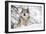 North American Timber Wolf (Canis Lupus) in Forest-Louise Murray-Framed Photographic Print