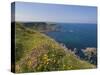 North Antrim Coast Path to the Giant's Causeway, County Antrim, Ulster, Northern Ireland, UK-Neale Clarke-Stretched Canvas