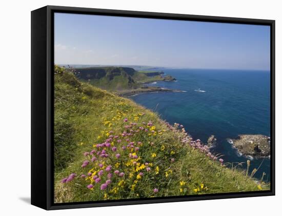 North Antrim Coast Path to the Giant's Causeway, County Antrim, Ulster, Northern Ireland, UK-Neale Clarke-Framed Stretched Canvas