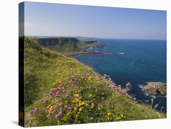 North Antrim Coast Path to the Giant's Causeway, County Antrim, Ulster, Northern Ireland, UK-Neale Clarke-Stretched Canvas