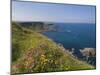 North Antrim Coast Path to the Giant's Causeway, County Antrim, Ulster, Northern Ireland, UK-Neale Clarke-Mounted Photographic Print