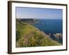 North Antrim Coast Path to the Giant's Causeway, County Antrim, Ulster, Northern Ireland, UK-Neale Clarke-Framed Photographic Print