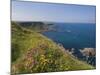 North Antrim Coast Path to the Giant's Causeway, County Antrim, Ulster, Northern Ireland, UK-Neale Clarke-Mounted Photographic Print