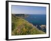 North Antrim Coast Path to the Giant's Causeway, County Antrim, Ulster, Northern Ireland, UK-Neale Clarke-Framed Photographic Print