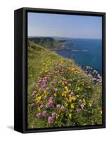 North Antrim Coast Path to the Giant's Causeway, County Antrim, Ulster, Northern Ireland, UK-Neale Clarke-Framed Stretched Canvas