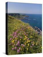 North Antrim Coast Path to the Giant's Causeway, County Antrim, Ulster, Northern Ireland, UK-Neale Clarke-Stretched Canvas