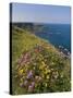 North Antrim Coast Path to the Giant's Causeway, County Antrim, Ulster, Northern Ireland, UK-Neale Clarke-Stretched Canvas