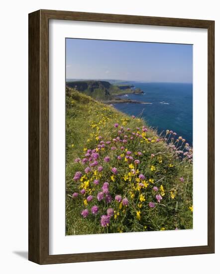 North Antrim Coast Path to the Giant's Causeway, County Antrim, Ulster, Northern Ireland, UK-Neale Clarke-Framed Photographic Print