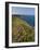 North Antrim Coast Path to the Giant's Causeway, County Antrim, Ulster, Northern Ireland, UK-Neale Clarke-Framed Photographic Print