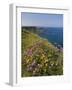 North Antrim Coast Path to the Giant's Causeway, County Antrim, Ulster, Northern Ireland, UK-Neale Clarke-Framed Photographic Print