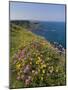 North Antrim Coast Path to the Giant's Causeway, County Antrim, Ulster, Northern Ireland, UK-Neale Clarke-Mounted Photographic Print