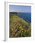 North Antrim Coast Path to the Giant's Causeway, County Antrim, Ulster, Northern Ireland, UK-Neale Clarke-Framed Photographic Print