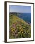 North Antrim Coast Path to the Giant's Causeway, County Antrim, Ulster, Northern Ireland, UK-Neale Clarke-Framed Photographic Print