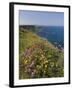 North Antrim Coast Path to the Giant's Causeway, County Antrim, Ulster, Northern Ireland, UK-Neale Clarke-Framed Photographic Print