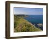 North Antrim Coast Path to the Giant's Causeway, County Antrim, Ulster, Northern Ireland, UK-Neale Clarke-Framed Photographic Print