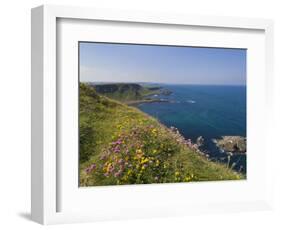 North Antrim Coast Path to the Giant's Causeway, County Antrim, Ulster, Northern Ireland, UK-Neale Clarke-Framed Photographic Print