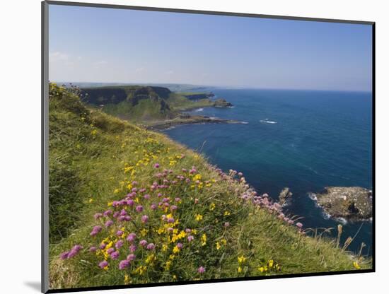 North Antrim Coast Path to the Giant's Causeway, County Antrim, Ulster, Northern Ireland, UK-Neale Clarke-Mounted Photographic Print