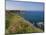 North Antrim Coast Path to the Giant's Causeway, County Antrim, Ulster, Northern Ireland, UK-Neale Clarke-Mounted Photographic Print