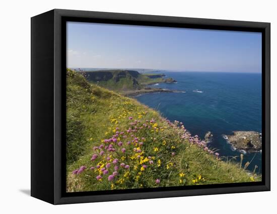 North Antrim Coast Path to the Giant's Causeway, County Antrim, Ulster, Northern Ireland, UK-Neale Clarke-Framed Stretched Canvas