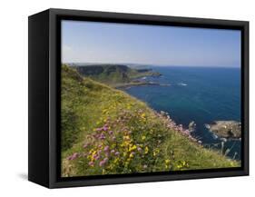 North Antrim Coast Path to the Giant's Causeway, County Antrim, Ulster, Northern Ireland, UK-Neale Clarke-Framed Stretched Canvas