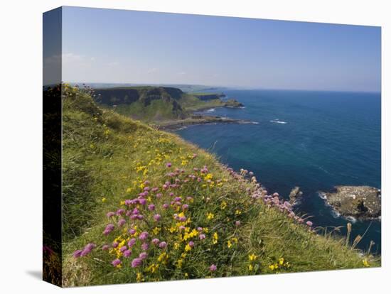 North Antrim Coast Path to the Giant's Causeway, County Antrim, Ulster, Northern Ireland, UK-Neale Clarke-Stretched Canvas