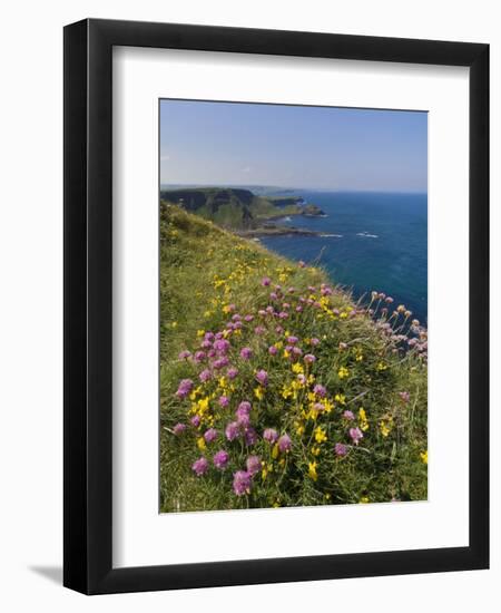 North Antrim Coast Path to the Giant's Causeway, County Antrim, Ulster, Northern Ireland, UK-Neale Clarke-Framed Premium Photographic Print