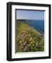 North Antrim Coast Path to the Giant's Causeway, County Antrim, Ulster, Northern Ireland, UK-Neale Clarke-Framed Premium Photographic Print