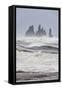 North Atlantic Coast During a Winter Storm with Heavy Gales. Reynisdrangar Sea Stacks-Martin Zwick-Framed Stretched Canvas