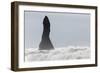 North Atlantic Coast During a Winter Storm with Heavy Gales. Reynisdrangar Sea Stacks-Martin Zwick-Framed Photographic Print