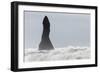 North Atlantic Coast During a Winter Storm with Heavy Gales. Reynisdrangar Sea Stacks-Martin Zwick-Framed Photographic Print