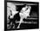 North by Northwest, 1959-null-Framed Photographic Print