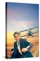 North by Northwest, Cary Grant, 1959-null-Stretched Canvas