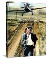 North by Northwest-null-Stretched Canvas