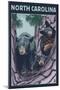 North Carolina - Bears in Tree-Lantern Press-Mounted Art Print
