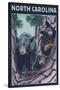 North Carolina - Bears in Tree-Lantern Press-Stretched Canvas