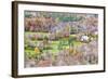 North Carolina, Blue Ridge Parkway, View from Flat Rock Overlook-Jamie & Judy Wild-Framed Photographic Print