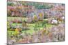 North Carolina, Blue Ridge Parkway, View from Flat Rock Overlook-Jamie & Judy Wild-Mounted Photographic Print