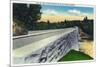 North Carolina - Blue Ridge Parkway, View of a Stone Bridge-Lantern Press-Mounted Premium Giclee Print