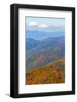 North Carolina, Blue Ridge Parkway-Jamie & Judy Wild-Framed Photographic Print