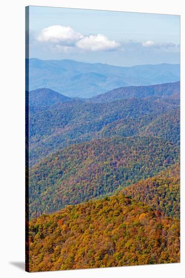 North Carolina, Blue Ridge Parkway-Jamie & Judy Wild-Stretched Canvas