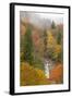 North Carolina, Bubbling Springs Falls. Autumn Scenic of the Falls-Don Paulson-Framed Photographic Print