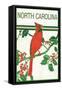 North Carolina - Cardinal Perched on a Holly Branch-Lantern Press-Framed Stretched Canvas