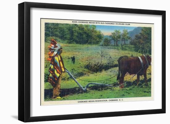 North Carolina - Cherokee Farmer with Ox-Drawn Plow-Lantern Press-Framed Art Print