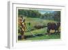 North Carolina - Cherokee Farmer with Ox-Drawn Plow-Lantern Press-Framed Art Print