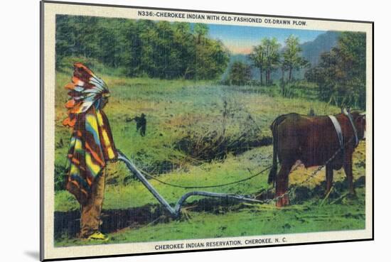 North Carolina - Cherokee Farmer with Ox-Drawn Plow-Lantern Press-Mounted Art Print