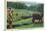 North Carolina - Cherokee Farmer with Ox-Drawn Plow-Lantern Press-Stretched Canvas