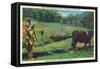 North Carolina - Cherokee Farmer with Ox-Drawn Plow-Lantern Press-Framed Stretched Canvas